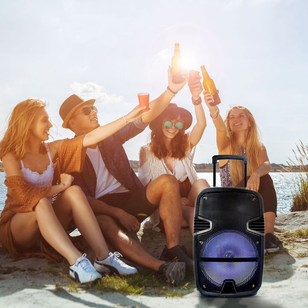 V-TAC Altoparlante Trolley Ricaricabile 35W Microfono Cablato Telecomando RGB per Cassa 12 pollici