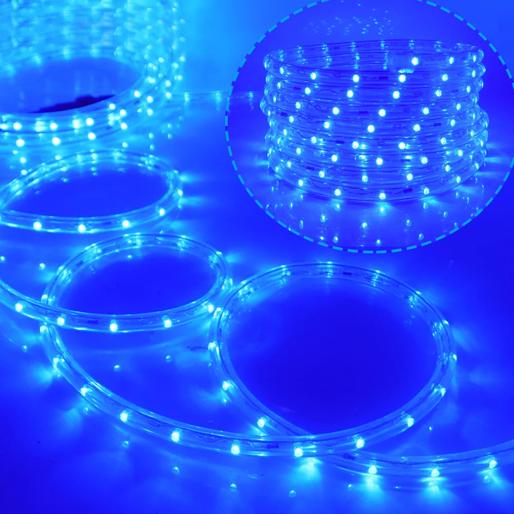 220V 110V Round 2 Wire Neon Strip LED Strip impermeabile Neon Sign LED Light Christmas Outdoor Rainbow Tube Rope Light Led Strip