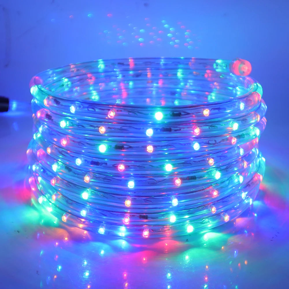 220V 110V Round 2 Wire Neon Strip LED Strip impermeabile Neon Sign LED Light Christmas Outdoor Rainbow Tube Rope Light Led Strip