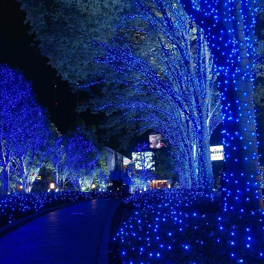 Stringa luminosa impermeabile 8 modalità, 10Mt 20Mt 30Mt 50Mt Fairy Garden Light Outdoor Indoor String Light ghirlanda per decorazioni natalizie e per feste