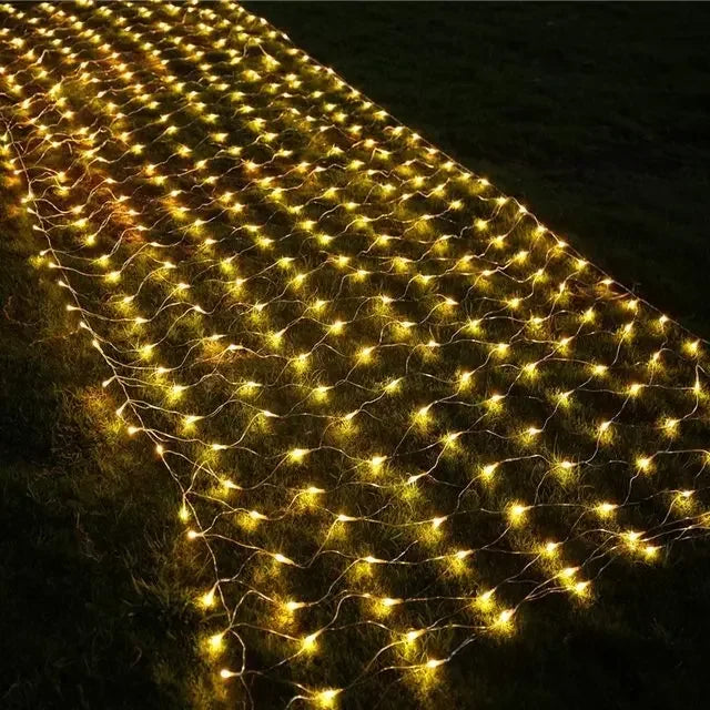 43085500711049|43085500776585