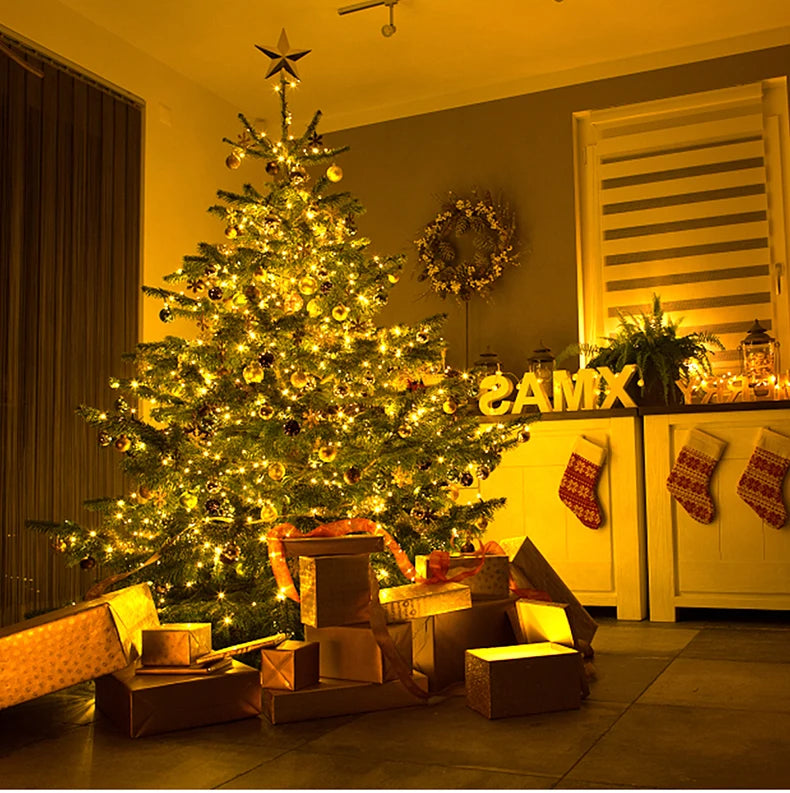 30M 20M 50M 10M 100M LED String Light 24V RGB bianco caldo impermeabile ghirlanda esterna decorazione natalizia giardino luci natalizie